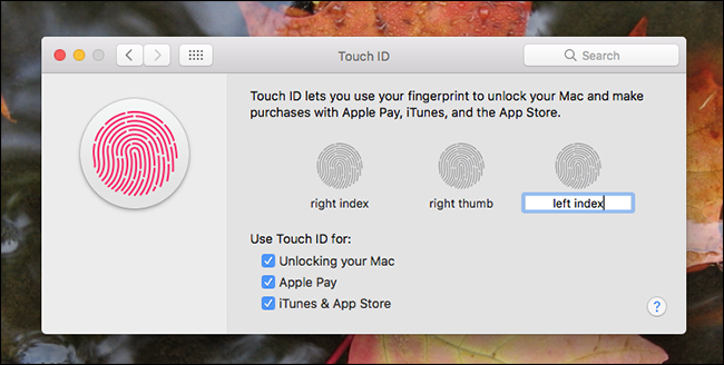 1628840562 391 Jak dodac wiecej palcow Touch ID do komputera Mac