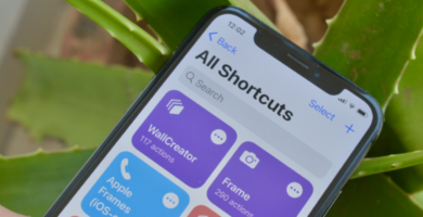 iPhone User Downloading and Installing Third Party Siri Shortcuts