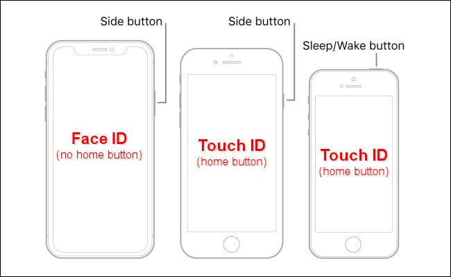 Schemat iPhone'ów z Face ID lub Touch ID